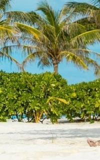 Шлюха Лика 27845